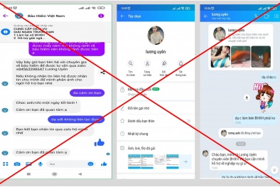 BHXH Việt Nam cảnh báo dịch vụ mạo danh lừa đảo hỗ trợ nhận trợ cấp BHXH, BHTN
