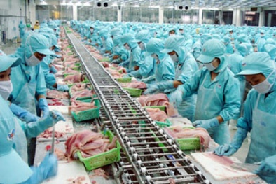 HACCP/TCVN 5603:2008 - nền tảng vững chắc cho doanh nghiệp sản xuất thực phẩm