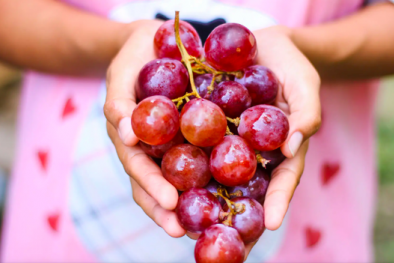 Ăn nho có thể kéo dài thêm 5 năm tuổi thọ, cách lựa chọn nho đảm bảo an toàn nhất