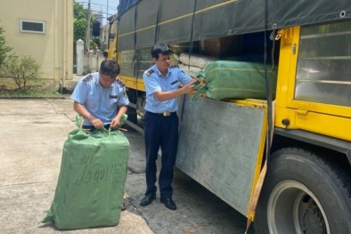 Chặn đứng nhiều hàng hóa do nước ngoài sản xuất nhưng không có nhãn phụ bằng tiếng Việt Nam