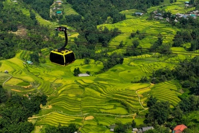 Trải nghiệm du lịch sôi động tour ngắm lúa săn mây hút khách dịp 2/9