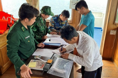 Tp. Hồ Chí Minh: Bắt giữ phương tiện vận chuyển hơn 100 m3 dầu DO không rõ nguồn gốc