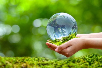 Quy định về môi trường trong EVFTA và đề xuất giải pháp nâng cao hiệu quả thực hiện cho Việt Nam