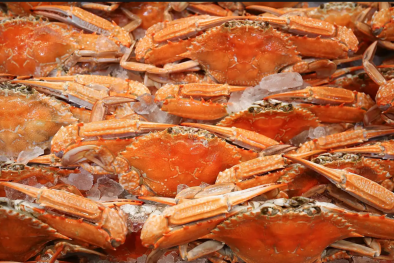 Ắc quy xe điện làm từ vỏ hải sản: Thân thiện môi trường, giá rẻ, ít chai pin