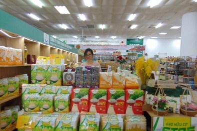 Cần đưa Hội chợ triển lãm nông nghiệp AgroViet thành sự kiện thường niên mang tầm quốc tế