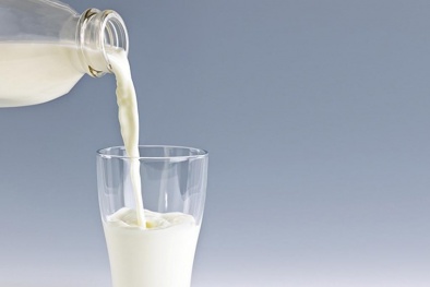 Uống sữa quá 3 ly mỗi ngày có thể gây hại sức khỏe