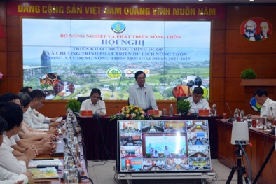 Du lịch nông thôn và chương trình OCOP- Phát triển kinh tế nông thôn gắn với xây dựng nông thôn mới