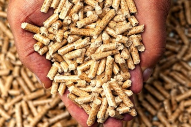 VCCI đề xuất miễn thuế xuất khẩu viên gỗ nén và viên than gỗ