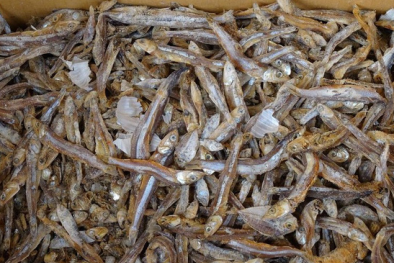 Hạt vi nhựa được tìm thấy trong thực phẩm quen thuộc nguy hại ra sao