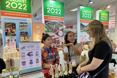 Xuất khẩu nông sản Việt vào thị trường Bắc Âu: Dư địa còn lớn