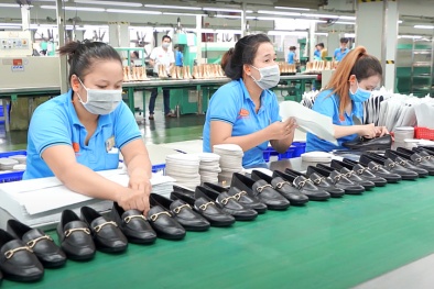 Nâng cao năng lực cạnh tranh trong việc áp dụng các tiêu chuẩn, quy chuẩn