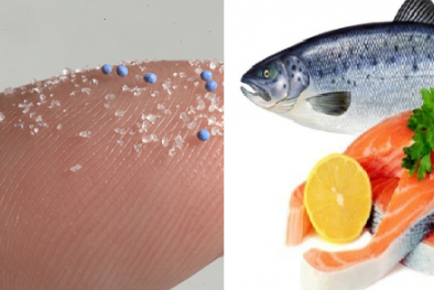 Nhiều nghiên cứu chỉ ra rằng, không phải mọi loại cá hồi đều tốt cho sức khỏe 