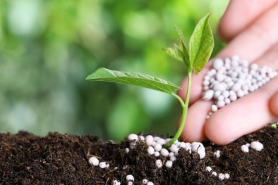 Không gia hạn biện pháp tự vệ với phân bón nhập khẩu