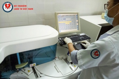 Labo TH Việt Nam cung cấp dịch vụ khám bệnh, chữa bệnh không phép