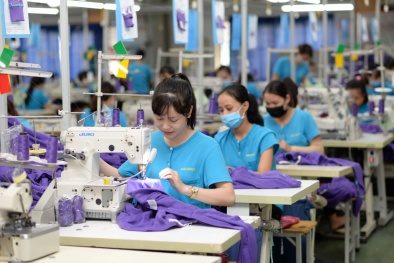 ADB giữ nguyên dự báo triển vọng kinh tế Việt Nam tăng trưởng GDP tăng 6,5%