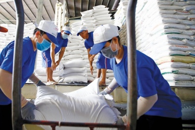 Bảo đảm hiệu quả công tác điều hành xuất khẩu gạo, ổn định thị trường và lợi ích người dân