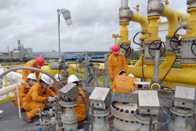 PV GAS  lọt Top 20 trong Bảng xếp hạng PROFIT500