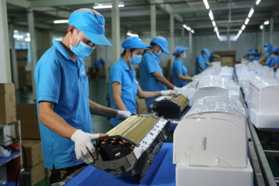BHXH Việt Nam giải quyết hưởng hỗ trợ hơn 1.034 tỷ đồng cho người lao động