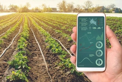 Chuyển đổi số - nâng cao hiệu quả kinh tế tập thể trong giai đoạn mới