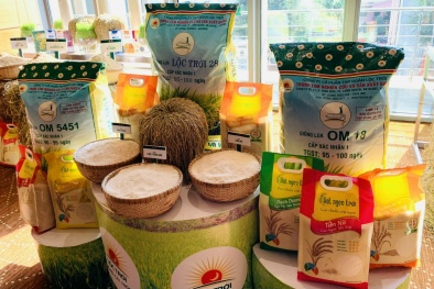 Một số vấn đề đặt ra đối với xuất khẩu gạo của Việt Nam vào EU từ khi EVFTA có hiệu lực 