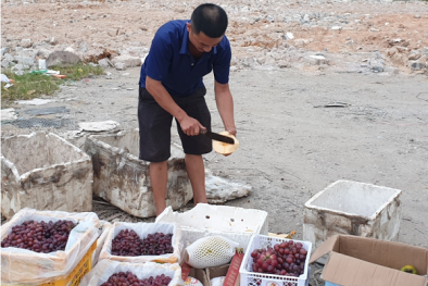 Tiêu chuẩn đánh giá thực phẩm sạch, chứng nhận sản phẩm nhập khẩu an toàn