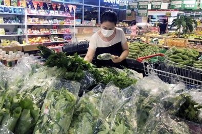 Sử dụng công cụ kinh tế nhằm thúc đẩy tiêu dùng bền vững ở Việt Nam hiện nay