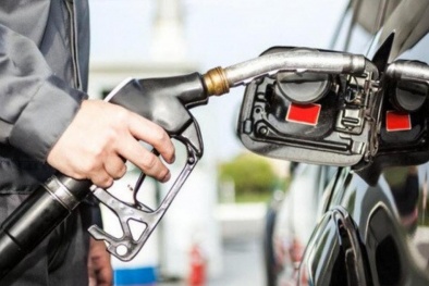 Ảnh hưởng của Olefin trong xăng đến khí thải: Quan điểm của các nhà khoa học và chuyên gia