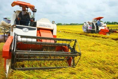 Hài hòa hóa tiêu chuẩn, quy chuẩn quốc tế lĩnh vực an ninh lương thực, phát triển thị trường xuất khẩu