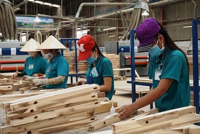 Áp thuế chống bán phá giá tạm thời 35% với bàn gỗ nhập khẩu từ Trung Quốc 