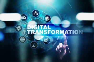 Hỗ trợ doanh nghiệp nâng cao năng lực xuất khẩu qua thương mại điện tử xuyên biên giới