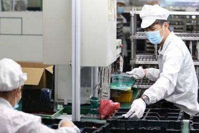 Tương lai tiêu chuẩn hóa hình thành từ những thay đổi của xã hội 