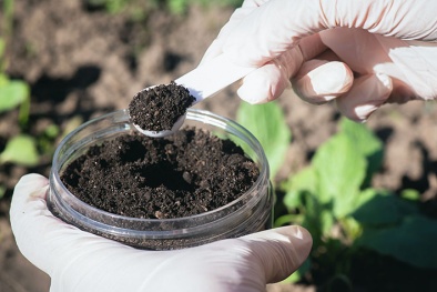 Định lượng các chất ô nhiễm hữu cơ có trong đất