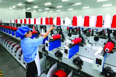 Nguồn gốc hình thành bộ tiêu chuẩn về quản lý môi trường ISO 14000