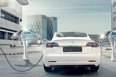 Cây năng lượng Mặt trời tạo ra điện ở khu dân cư