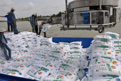 Đề xuất điều chỉnh thuế xuất khẩu 5% với các loại phân bón, riêng NPK áp thuế 0%