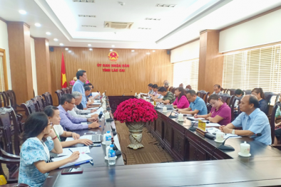 Kiểm tra tình hình áp dụng Hệ thống quản lý chất lượng theo Tiêu chuẩn quốc gia TCVN ISO 9001 tại Lào Cai