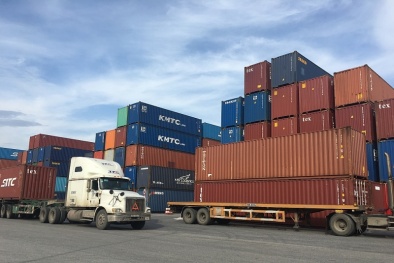 14 loại chứng nhận xuất xứ hàng hóa doanh nghiệp có thể tự in