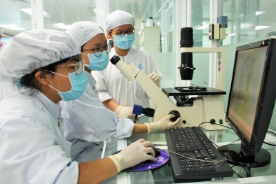 Chấp nhận rủi ro trong nghiên cứu khoa học theo thông lệ và chuẩn mực quốc tế