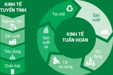 Giải pháp phát triển mô hình kinh doanh tuần hoàn tại Việt Nam