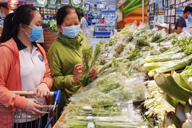 Rà soát, sửa đổi tiêu chuẩn để nông nghiệp Việt chuyển mình