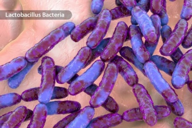 Thực phẩm lên men mang lại những lợi ích sức khoẻ to lớn