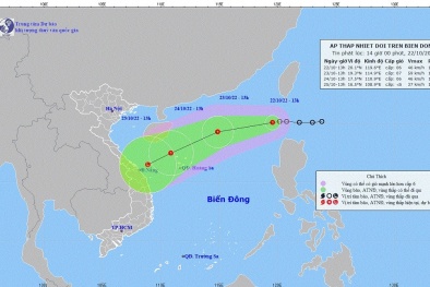 Các tỉnh, thành phố khẩn trương ứng phó với áp thấp nhiệt đới giật cấp 8 
