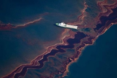 Ứng dụng công nghệ sinh học xử lý ô nhiễm dầu thân thiện môi trường, giảm 30% chi phí