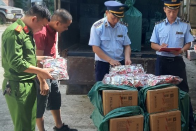 Vận chuyển gần 6.000 túi chân gà không rõ nguồn gốc đi tiêu thụ