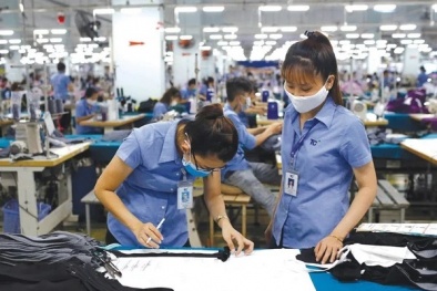 Yêu cầu khắt khe về tiêu chuẩn, quy chuẩn giúp dệt may nâng cao năng lực cạnh tranh