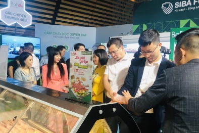 Heo ăn chay- thịt heo an toàn đến từ phương thức chăn nuôi khác biệt