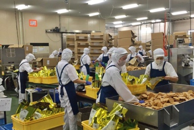 Triển vọng quan hệ thương mại, đầu tư Việt Nam - Ba Lan trong bối cảnh thực thi EVFTA