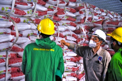 PVFCCo- Vốn chủ sở hữu tăng 21% sau 9 tháng