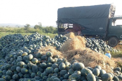 Liên kết doanh nghiệp và hợp tác xã: Lời giải cho bài toán ‘khủng hoảng thừa’ 