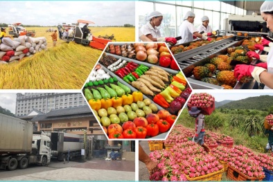Mở rộng thị trường tiêu thụ các mặt hàng nông sản, tránh tình trạng ‘được mùa mất giá’